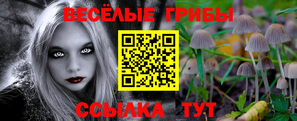 Псилоцибиновые грибы прущие грибы Кстово